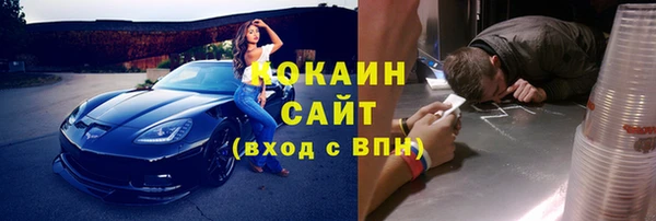 гидра Абаза