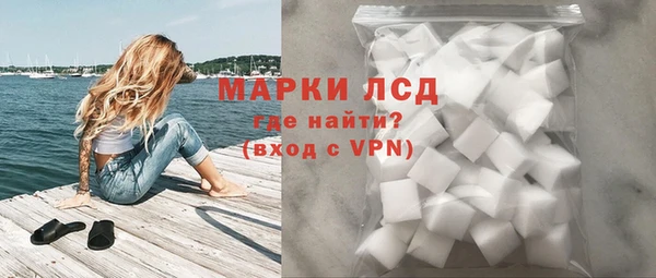 гидра Абаза