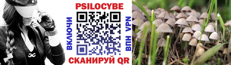 Галлюциногенные грибы мицелий  Нефтеюганск 